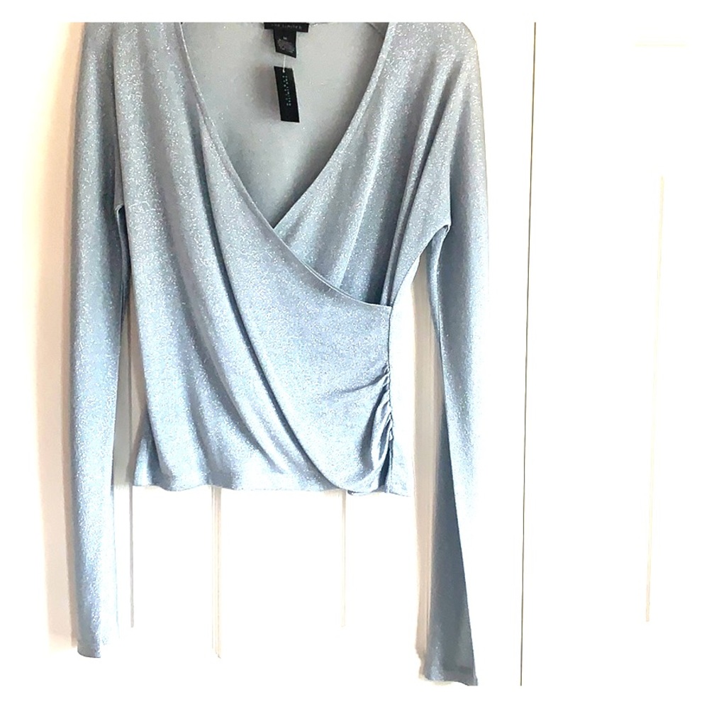 Sparkly long sleeve lightweight dress top